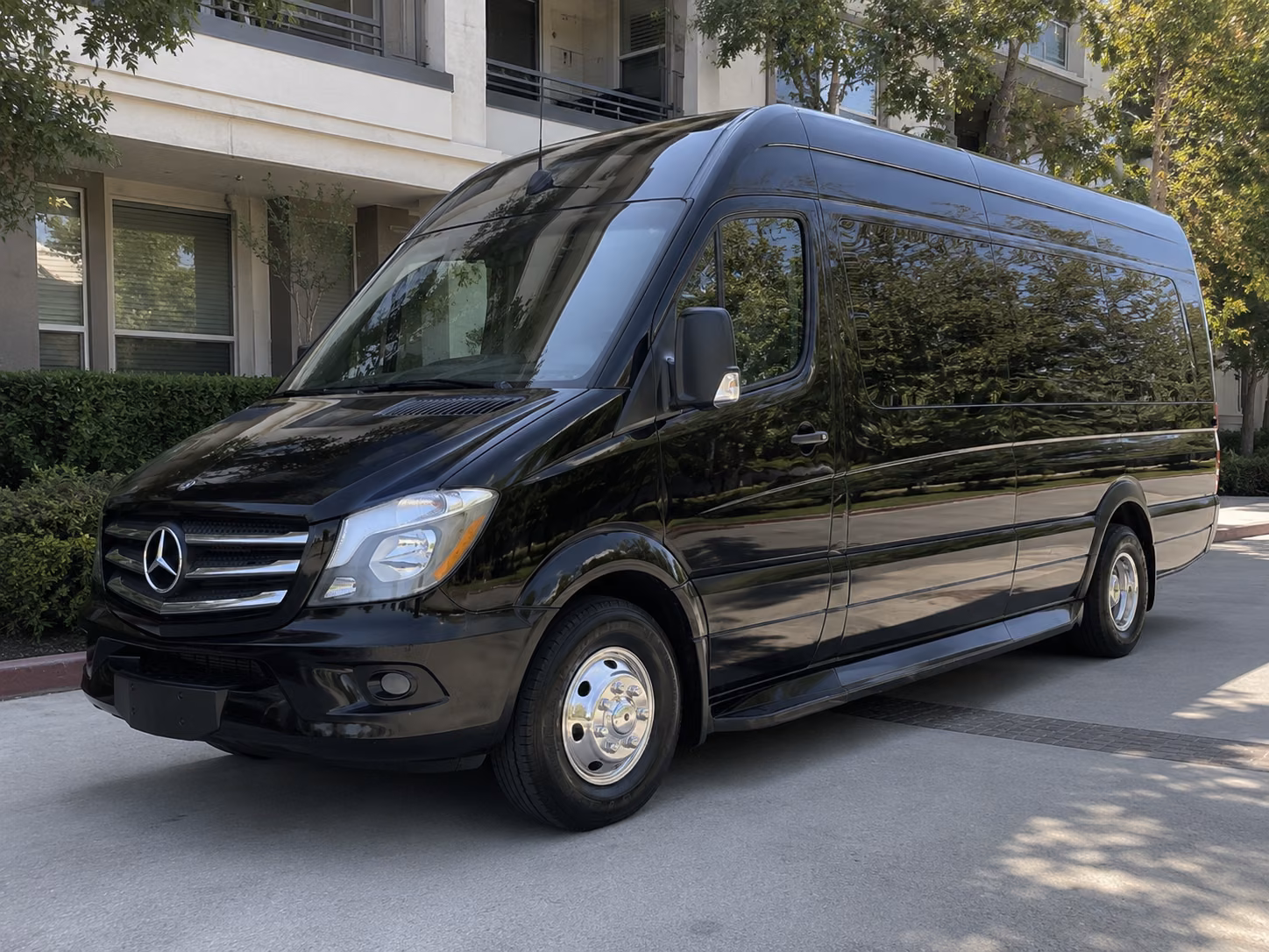richardson 12 passenger sprinter van
