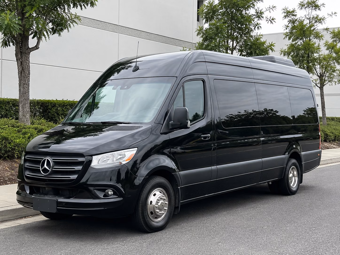 richardson 18 passenger sprinter van