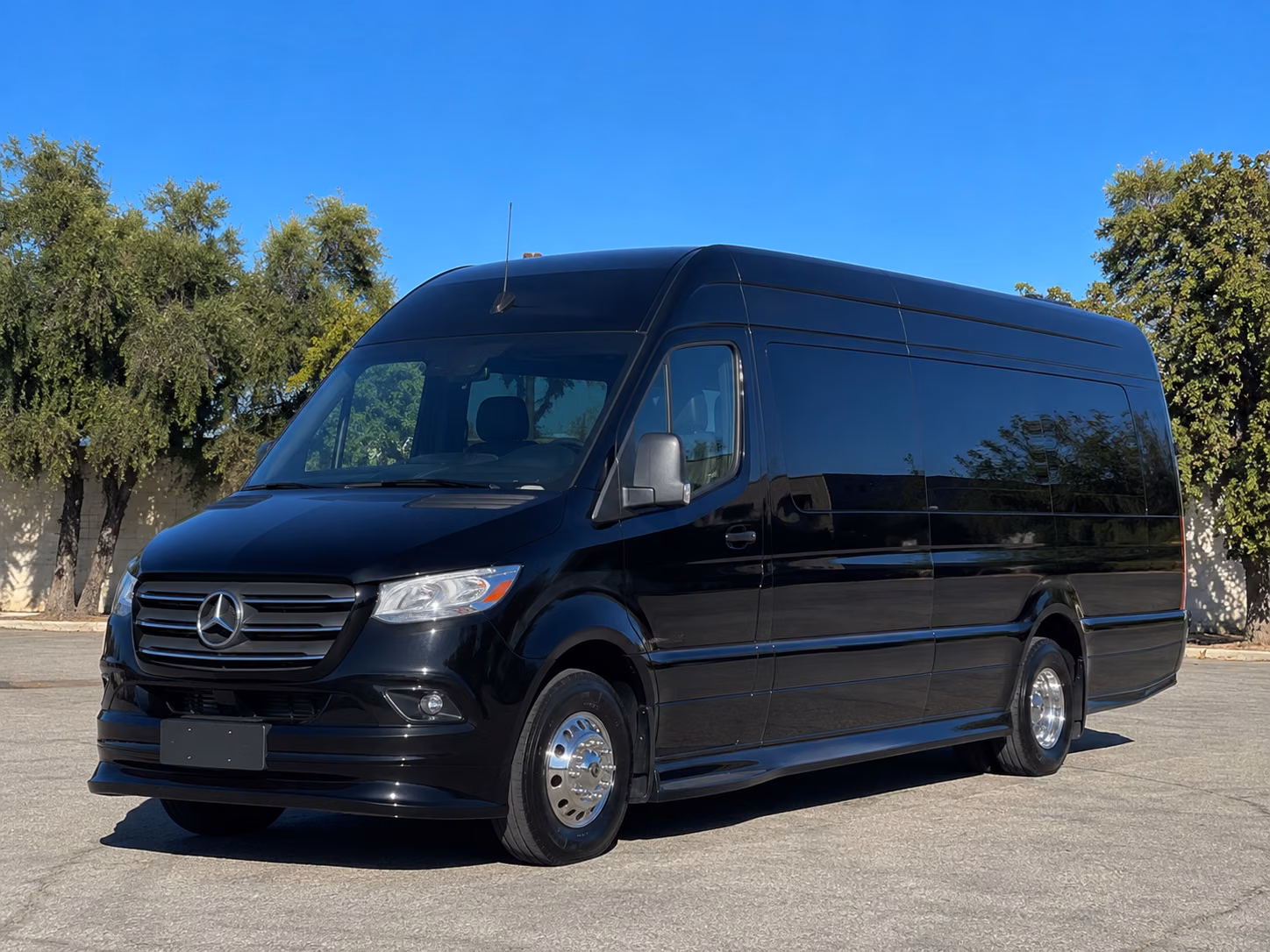 sprinter van options for richardson trips
